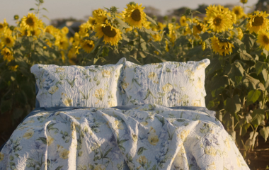 Case de Sucesso Audiovisual: Camesa – A Cara da Sua Casa